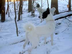 Winter